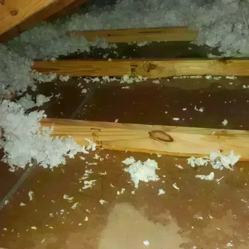 Attic Water Damage in Knox County, KY